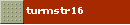 turmstr16